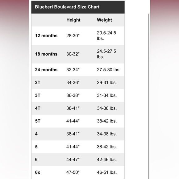 Blueberi Boulevard Toddler Dress - Picture 9 of 9